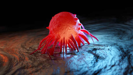 Cocina anticáncer: tres cómplices inesperados contra el avance tumoral