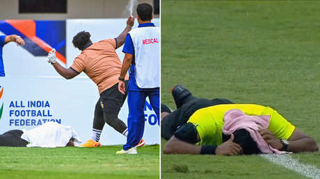 VIDEO: Violento ataque de un enjambre de abejas a un árbitro en pleno partido de fútbol