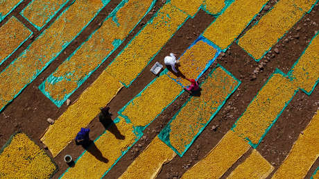 Esta fruta es el principal aliado para proteger todo tu cuerpo