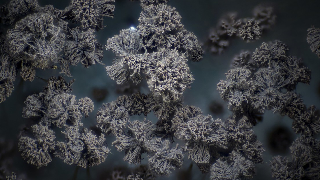 Una seria amenaza se cierne sobre Europa, Asia y América