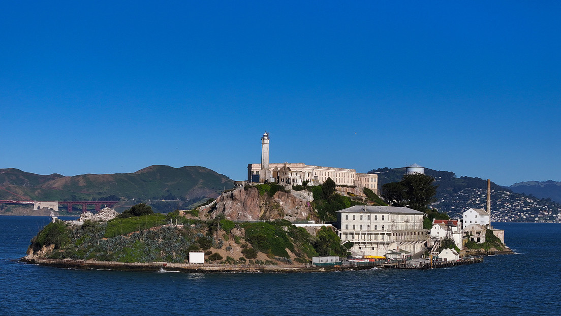 "Encuentra un lugar para Zelenski": El peculiar pedido de una periodista ucraniana a Trump