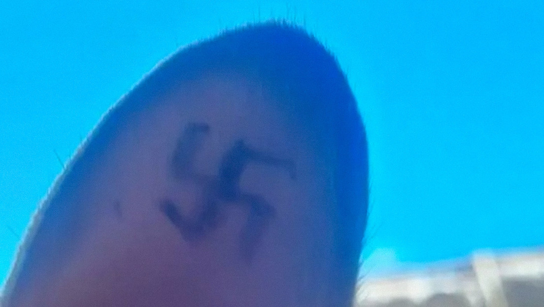 Repudio y misterio: aparecen perros callejeros con esvásticas tatuadas en sus orejas