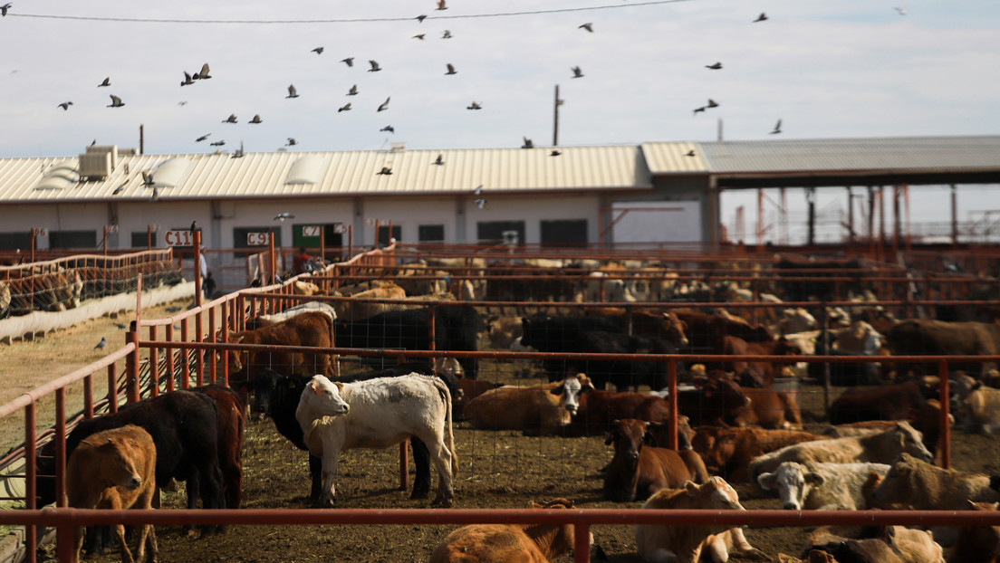 "México no es piñata de nadie": Sheinbaum le revira a EE.UU. por esta decisión