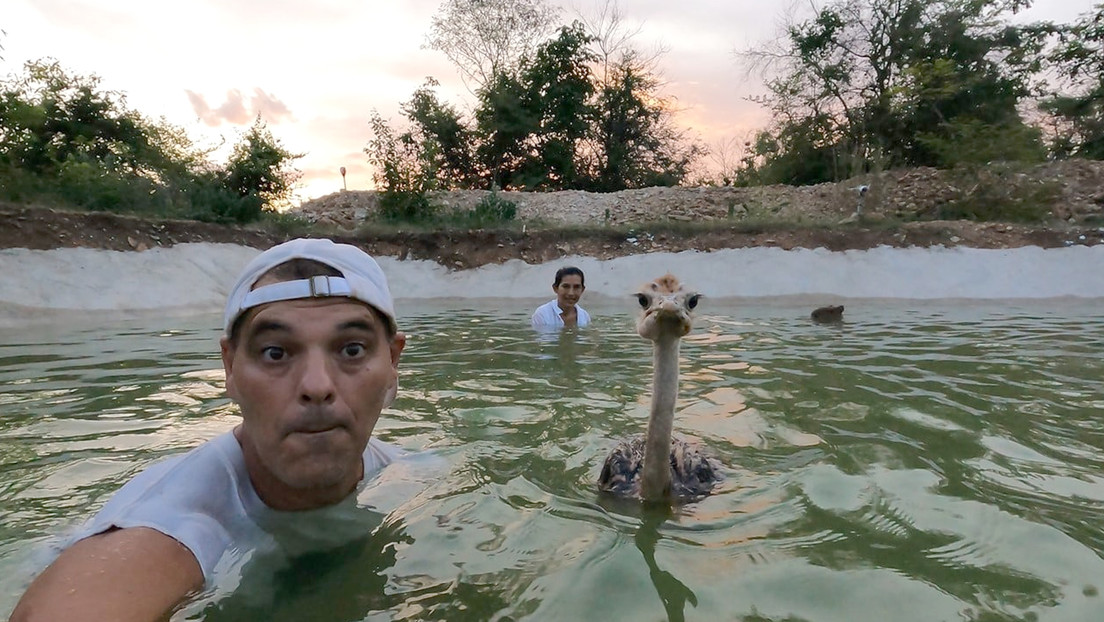 La rocambolesca historia del animalista que engañó a todos