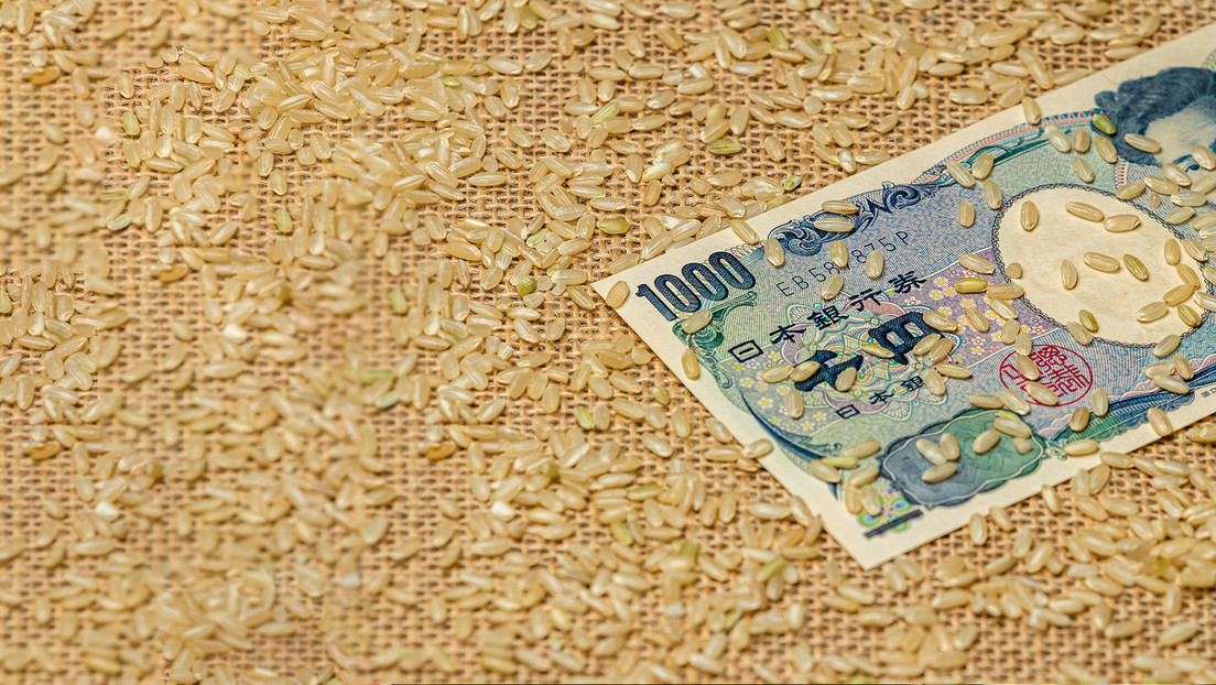 "Me regañó mi mujer": Escándalo por el arroz obliga a disculparse a un ministro japonés