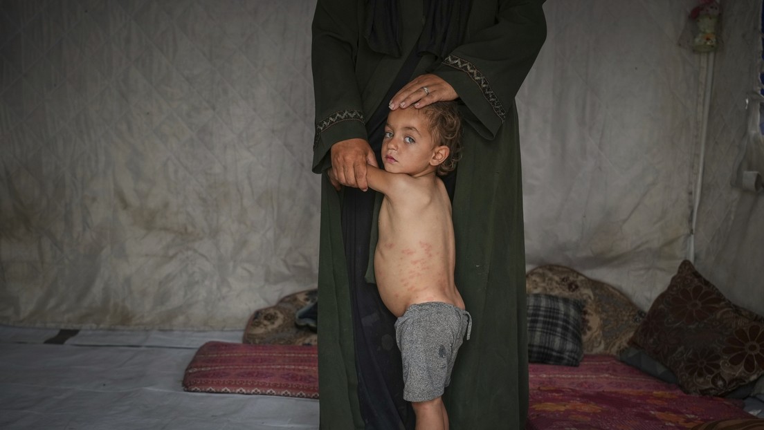 "Escalofriante": La ONU alerta que 14.000 bebés morirán en Gaza en 48 horas si no llega ayuda humanitaria