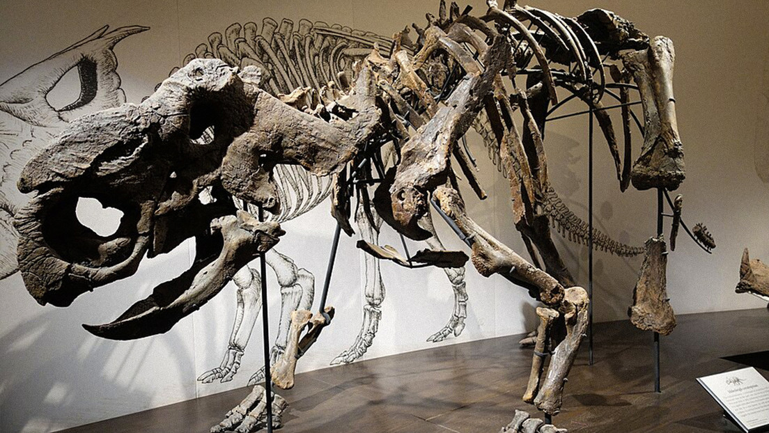 Revelan cómo feneció una manada entera de dinosaurios en el 'Río de la Muerte'