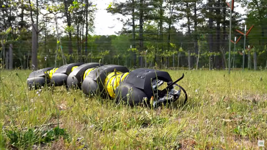 VIDEO: Crean un robot-ciempiés para resolver los retos de la agricultura