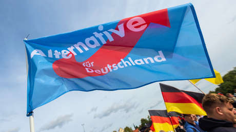 La contrainteligencia alemana declara "extremista" al partido más popular, Alternativa para Alemania