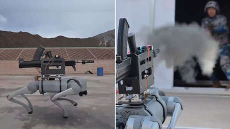 VIDEO: Un perro robot con un rifle muestra sus habilidades de 'caza'