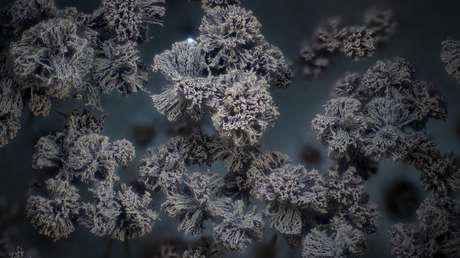 Una seria amenaza se cierne sobre Europa, Asia y América