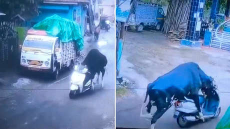 VIDEO: Un toro 'roba' una moto en la India