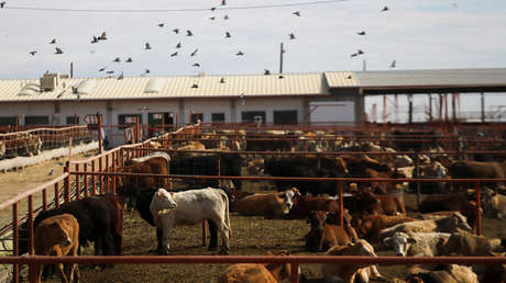 "México no es piñata de nadie": Sheinbaum le revira a EE.UU. por esta decisión