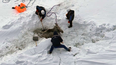 VIDEO: Tripulación de un rompehielos nuclear ruso rescata a un alce de una "trampa de hielo"