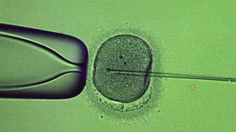 El esperma de un donante con riesgo de cáncer se usó para concebir a casi 70 niños