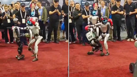 VIDEO: Emocionante pelea de dos robots termina con un inesperado nocaut