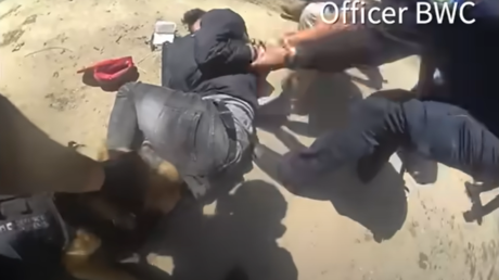 Persecución policial en EE.UU. termina con un hombre herido de bala y mordido por un perro policía