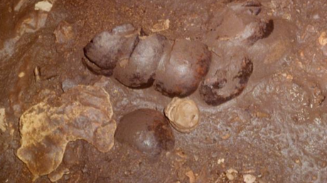 Hallan 'cueva de sangre' que expone brutales sacrificios mayas