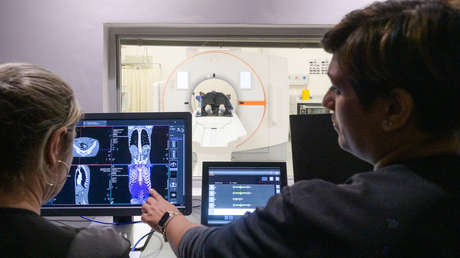 Prueba diagnóstica con IA: la nueva aliada de los hombres con cáncer de próstata