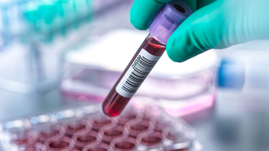 Científicos desarrollan sangre artificial compatible con todos los grupos sanguíneos