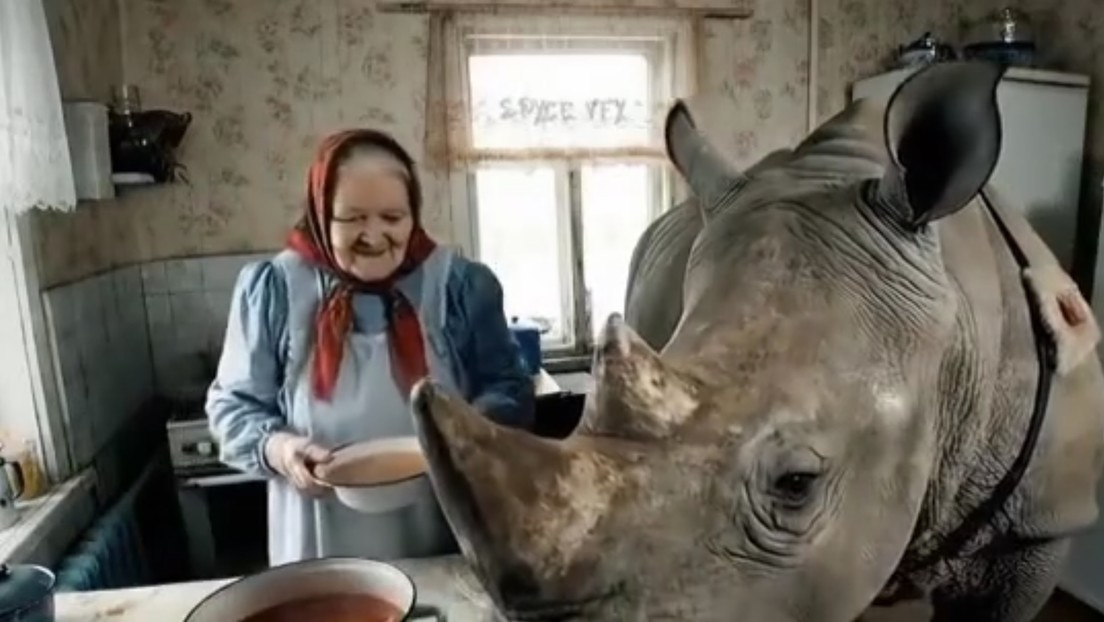 'Neuroabuelas' rusas conquistan TikTok con descabelladas aventuras (VIDEOS)