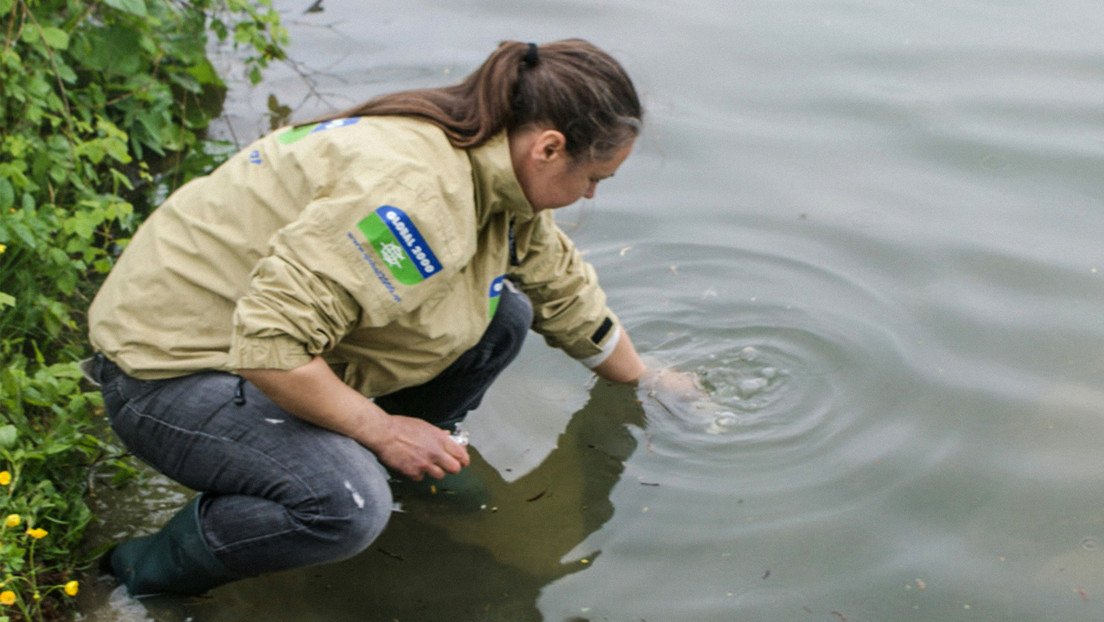 TFA: el perjudicial químico que podrías estar consumiendo a diario