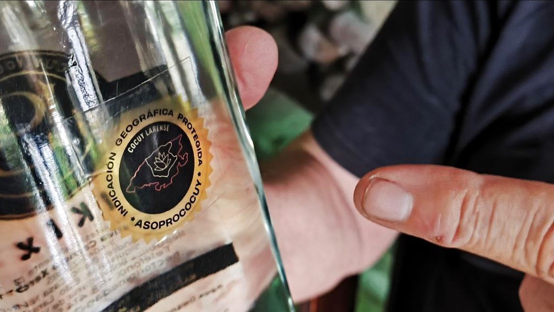 ¿Fin del reinado? Un licor 100 % agave venezolano se rebela y hace 'temblar' al tequila y el mezcal