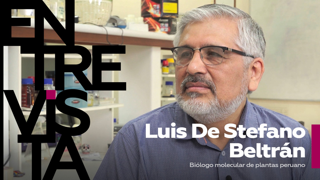 Batalla contra los transgénicos: ¿peligro real o narrativa impuesta?