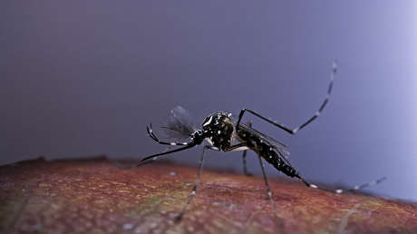 Confirman caso de un peligroso virus en un popular destino turístico de EE.UU.