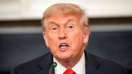 "Ni siquiera pienso en él": Trump habla tras la mediática pelea con Musk