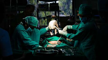 Zajárova: En Kiev florece el tráfico de órganos bajo la protección de las autoridades