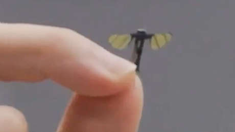 China crea un dron del tamaño y forma de un mosquito (VIDEO)