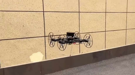 Un innovador robot chino puede volar, arrastrarse y posarse en paredes (VIDEO)