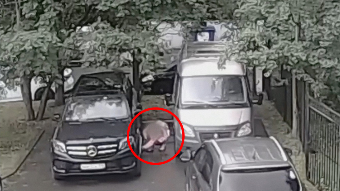 Arrestan a una joven en Rusia cuando intentaba cometer un atentado terrorista (VIDEO)