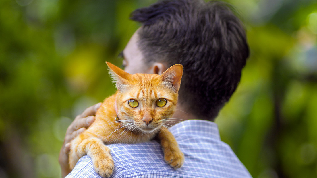 Ofrece todos sus ahorros a quien cuide a su gata tras su muerte