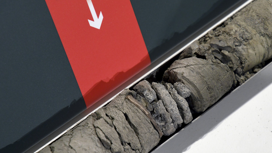 El "fascinante hallazgo" que hizo un museo justo debajo de sus cimientos