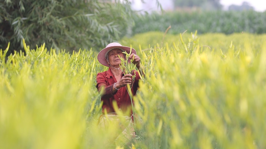 El PIB chino registra un alza del 5,3 % pese a las presiones externas