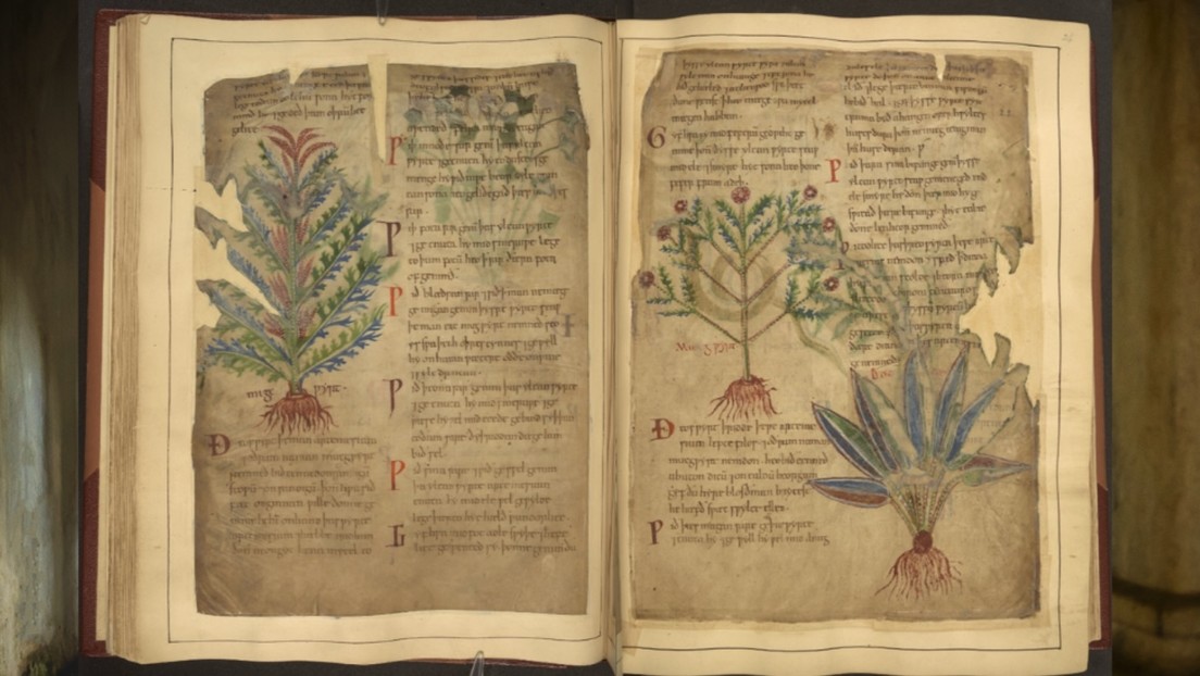 Encuentran sorprendentes similitudes entre la medicina medieval y tendencias actuales de TikTok