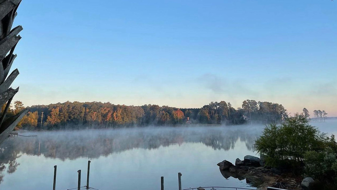Niño muere por ameba 'devoradora de cerebros' tras nadar en lago popular
