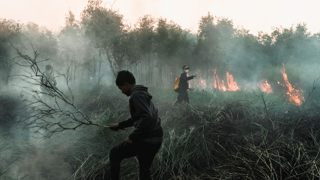 Identifican 'nuevas estaciones' provocadas por la actividad humana