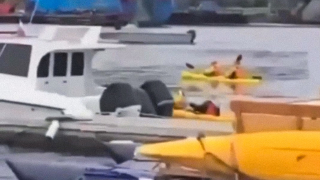 VIDEO: Kayakistas permanecen en el agua a pesar del peligro tras potente sismo