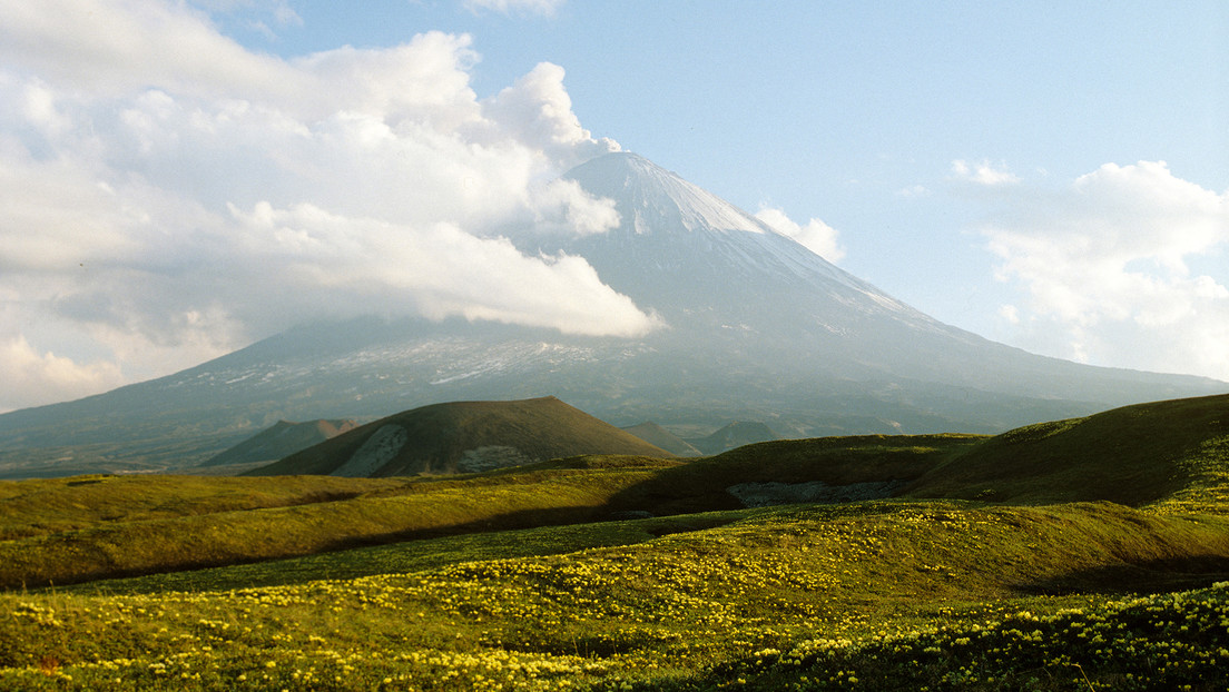 Osos, volcanes, géiseres: así es Kamchatka, la península rusa sacudida por el megasismo