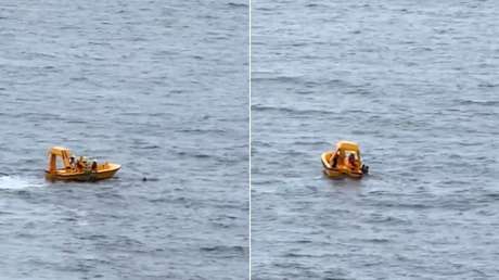 Héroe en altamar: un padre se lanza desde un crucero Disney para salvar a su hija