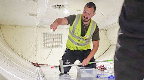 VIDEO: Retrasan un vuelo en Australia por una serpiente a bordo