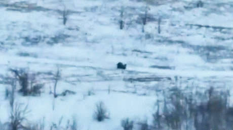 Soldado ruso rescata a compañeros heridos bajo fuego de drones ucranianos (VIDEO)