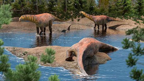 Descubren una nueva especie de dinosaurio en este país latinoamericano