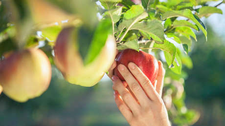 La poderosa fruta que es capaz de proteger el corazón, la digestión y el sistema inmune