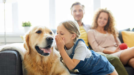La IA podría ayudarnos a 'hablar' con los animales