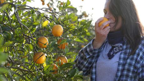 Esta popular fruta es el mejor aliado para tu corazón y pulmones