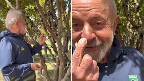 VIDEO: Lula ofrece a Trump una exótica fruta para que calme su furia arancelaria
